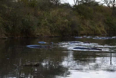 DSC_3689 (Large).JPG